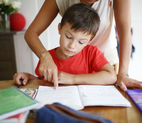 Best School Management Software Company in India